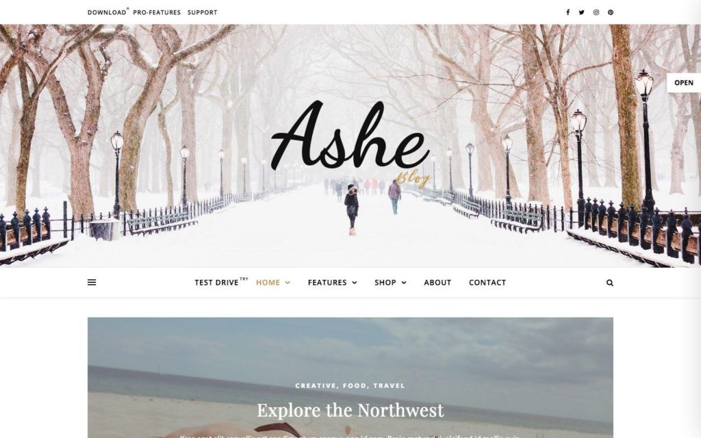 ashe-wordpress-theme