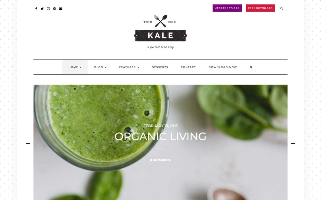 kale-wordpress-theme
